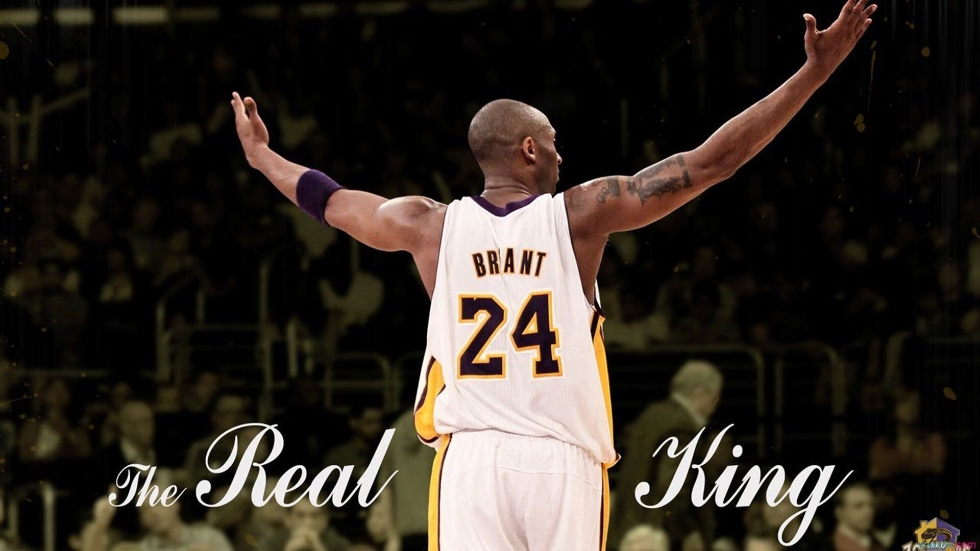 若日尼奥爆发，绿茵场上的哲学与爱尔兰打穿阿尔及利亚的战术革命